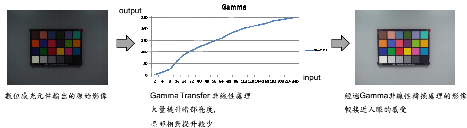 GammaCurve